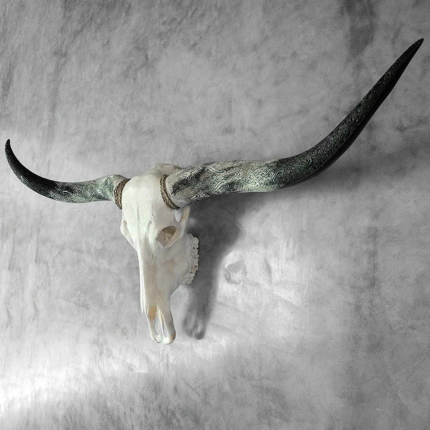 Longhorn Skull - White Storm