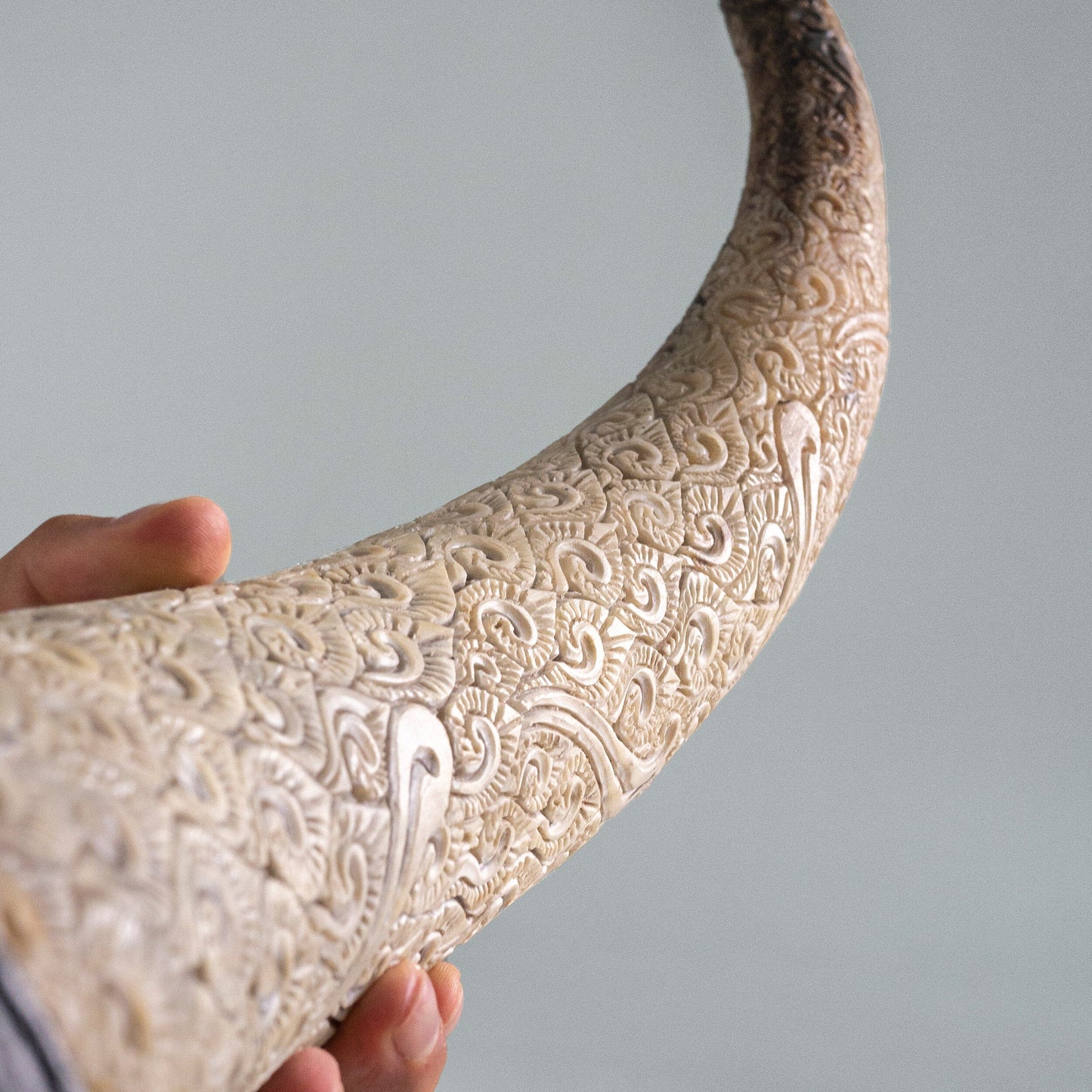 Hand Carved Longhorn Skull // XL Horns - White Glowing Mandala