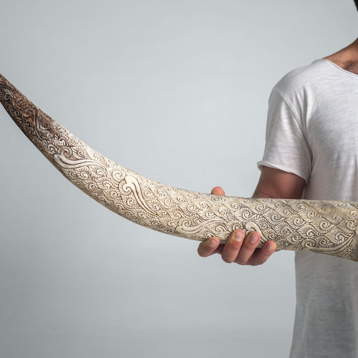 Longhorn Skull // XL Horns - Beige Mirror // Mosaic Finish