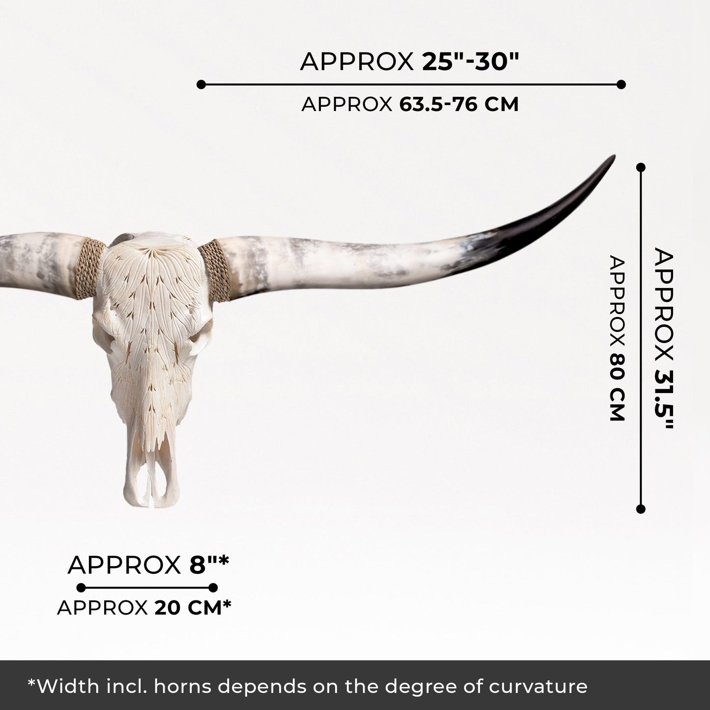 Hand Carved Longhorn Skull - White Feathers