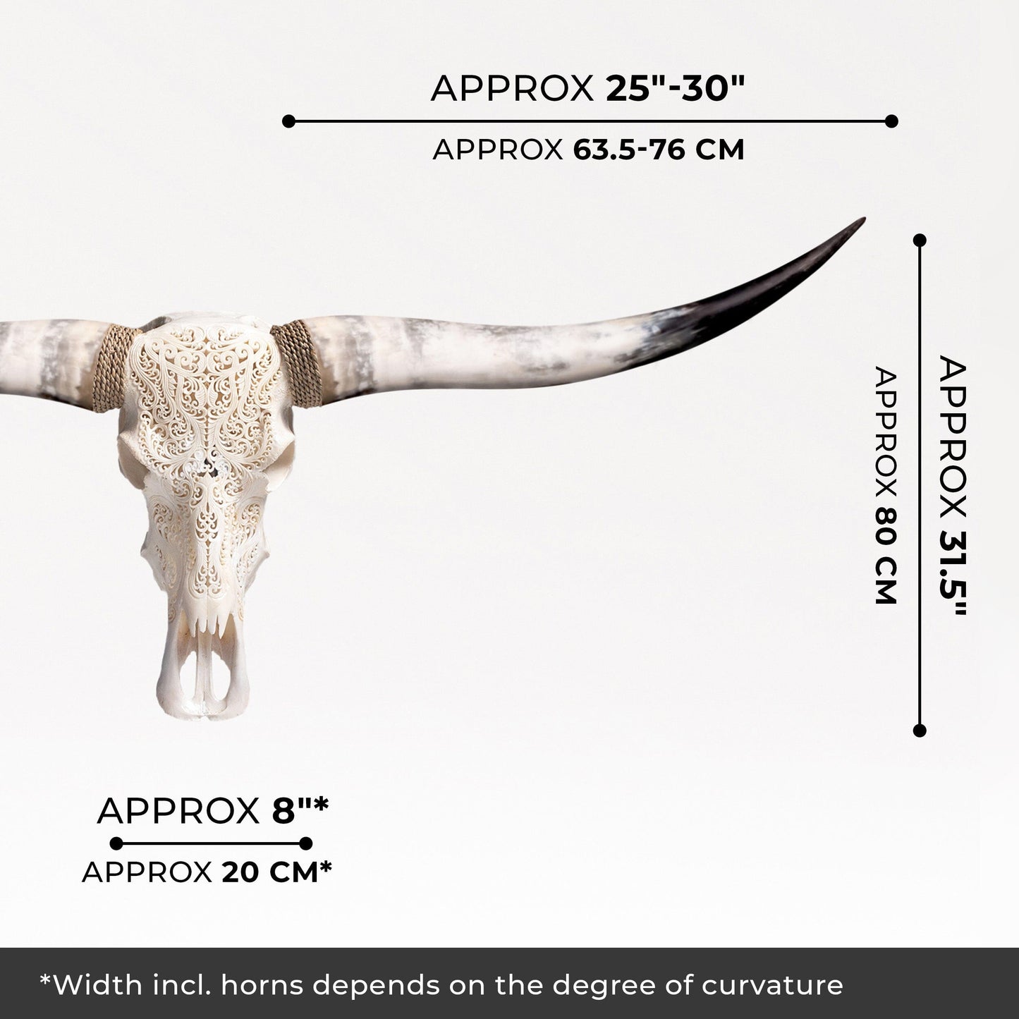 Hand Carved Longhorn Skull - White Titan