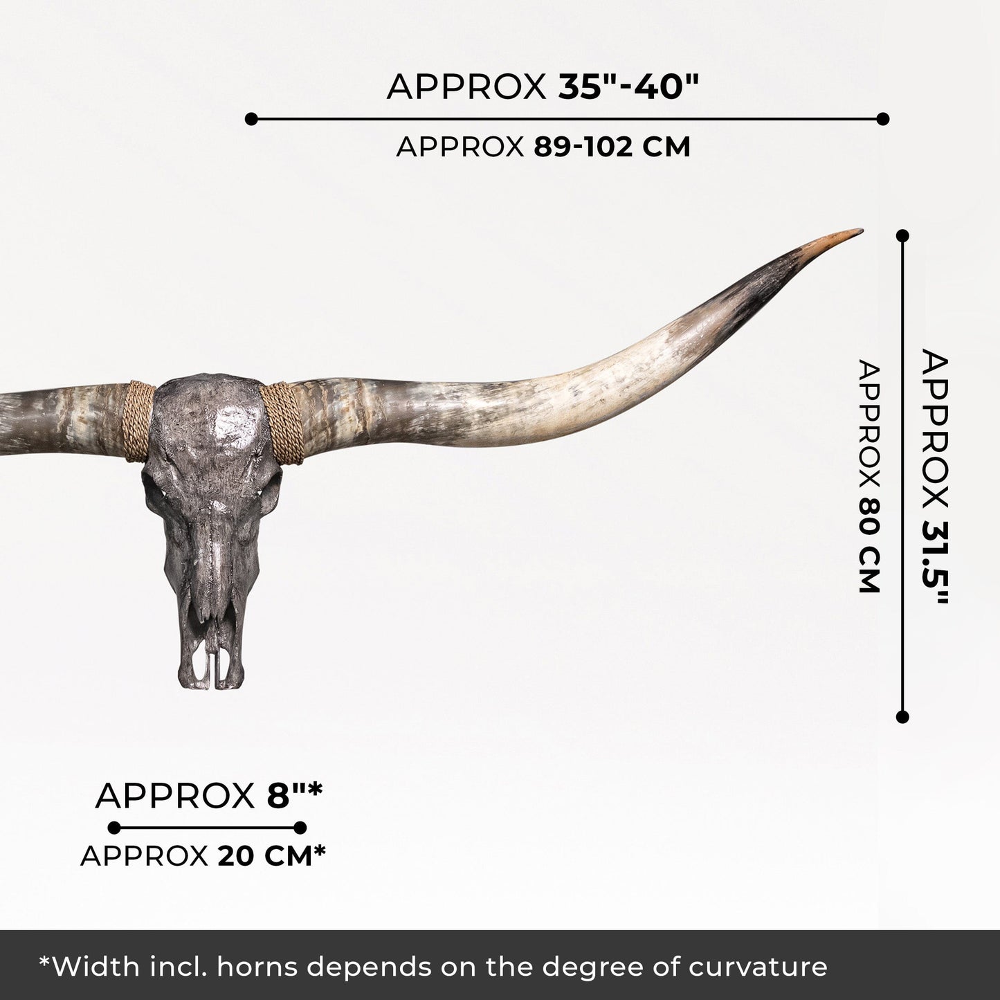 Longhorn Skull // XL Horns - Gray Storm