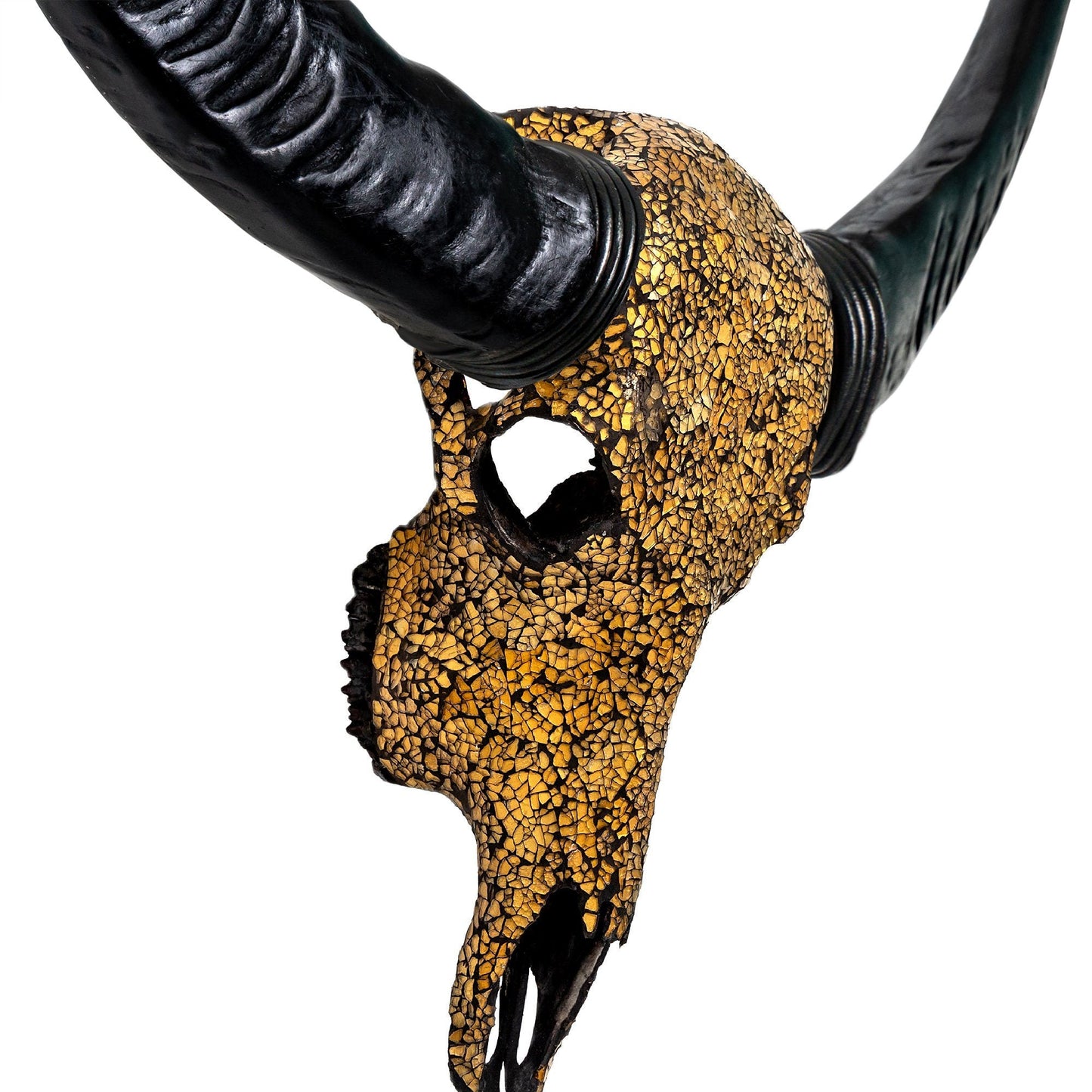Buffalo Skull - Inferno // Mosaic Finish