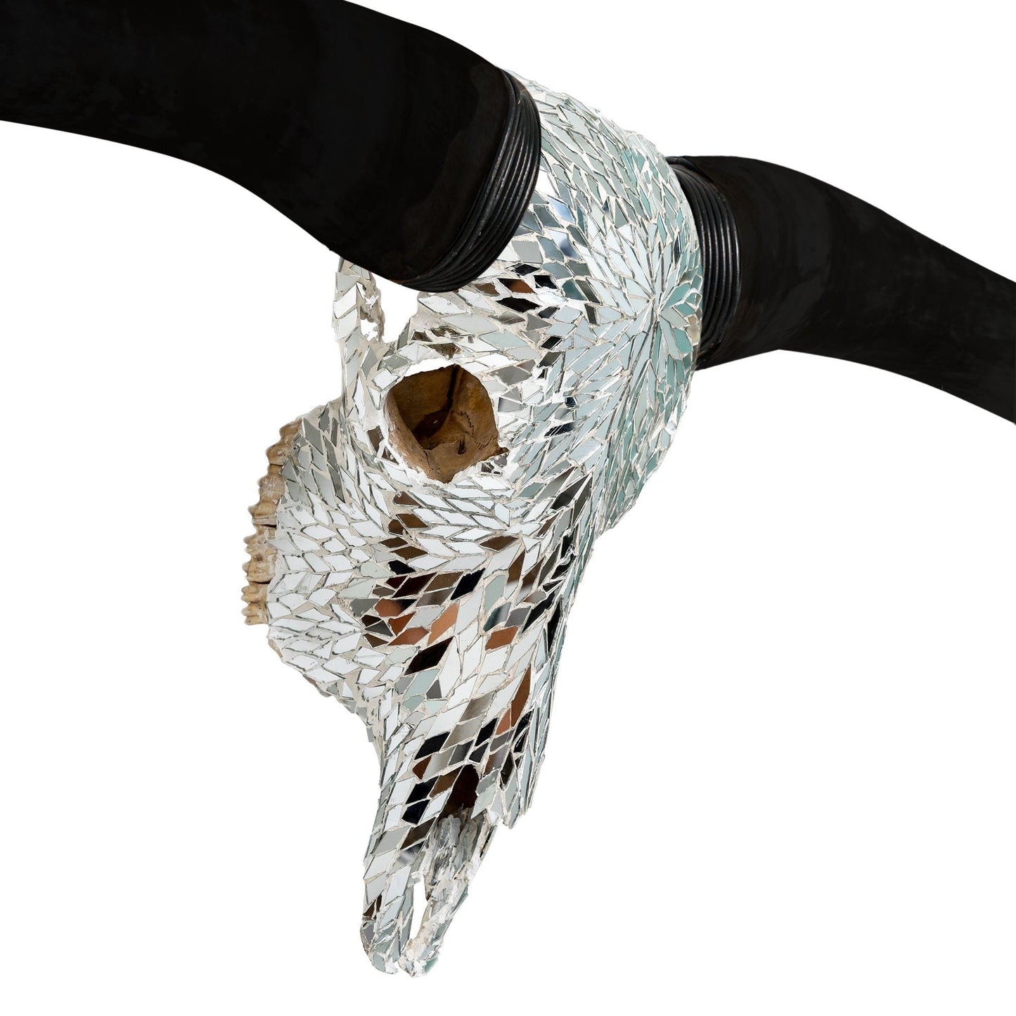 Longhorn Skull // Black Horns - Mirror // Mosaic Finish
