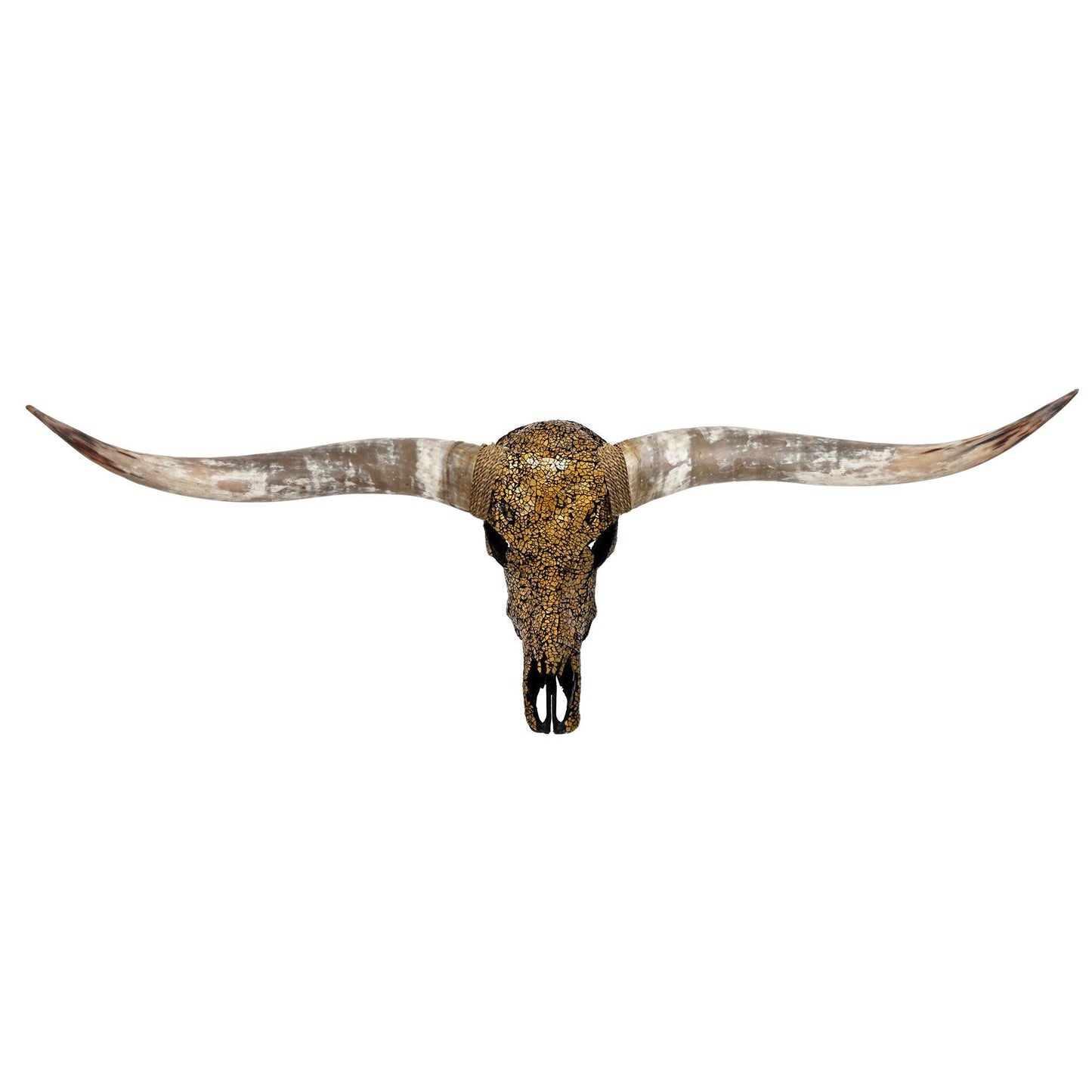 Longhorn Skull - Inferno // Mosaic Finish