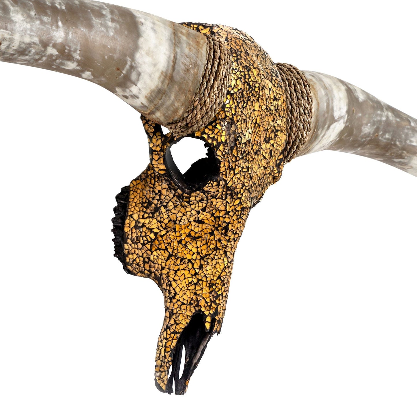 Longhorn Skull - Inferno // Mosaic Finish