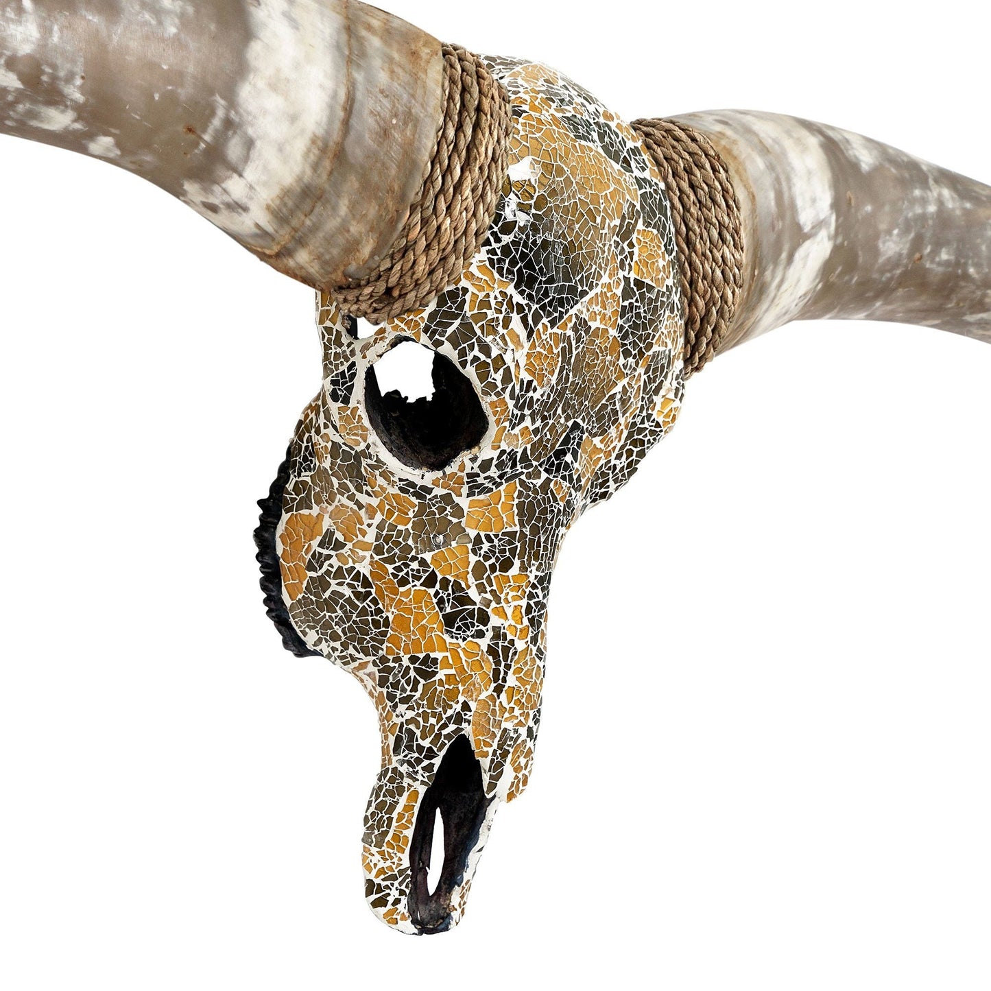 Longhorn Skull - Icarus // Mosaic Finish