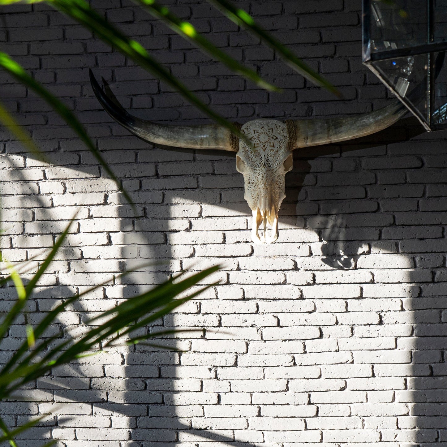 Hand Carved Longhorn Skull - White Mandala