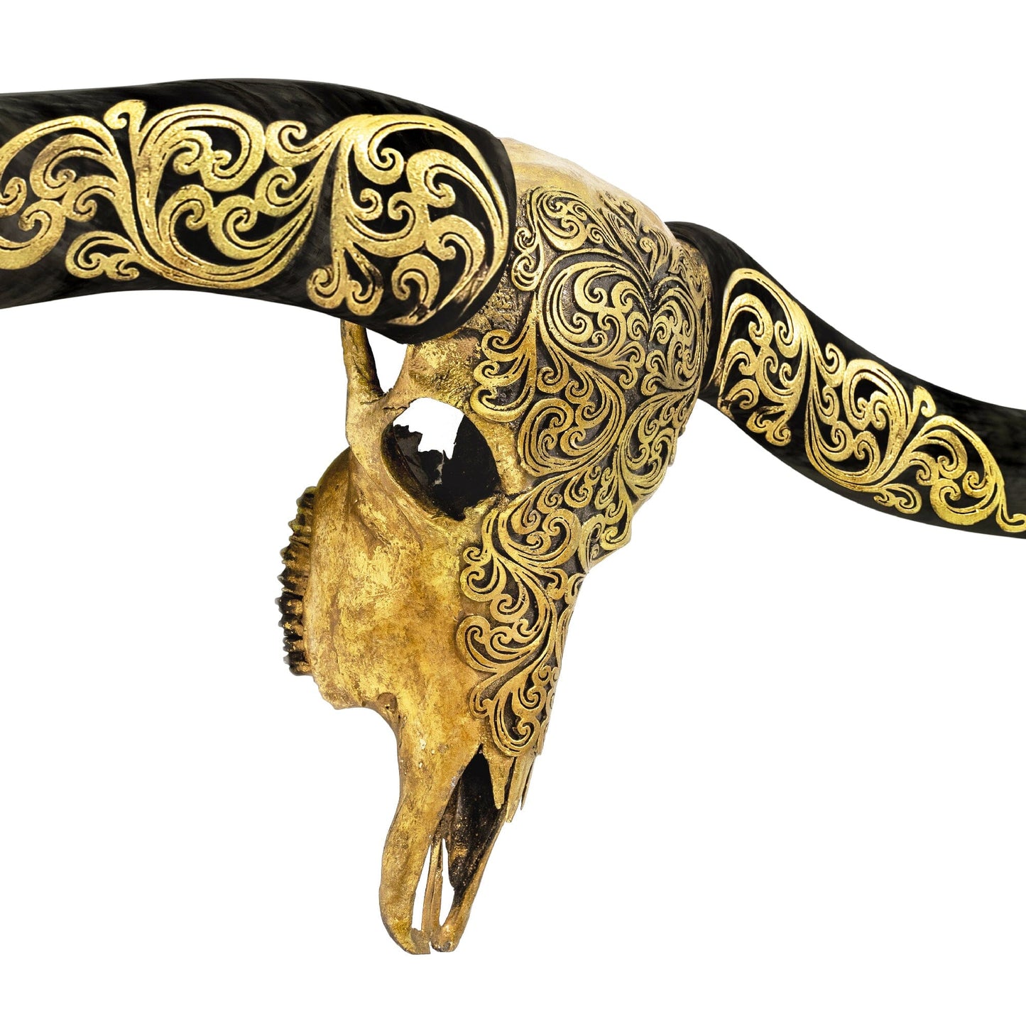 Longhorn Skull // XL Horns - Oriental Gold Metallic