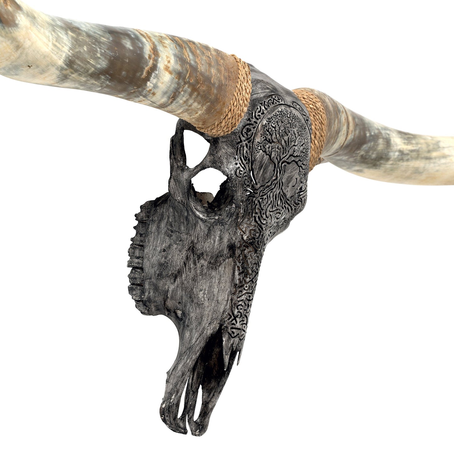 Hand Carved Longhorn Skull // XL Horns - Gray Yggdrasil