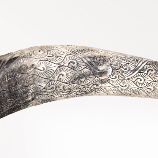 Longhorn Skull - Black Mirror // Mosaic Finish