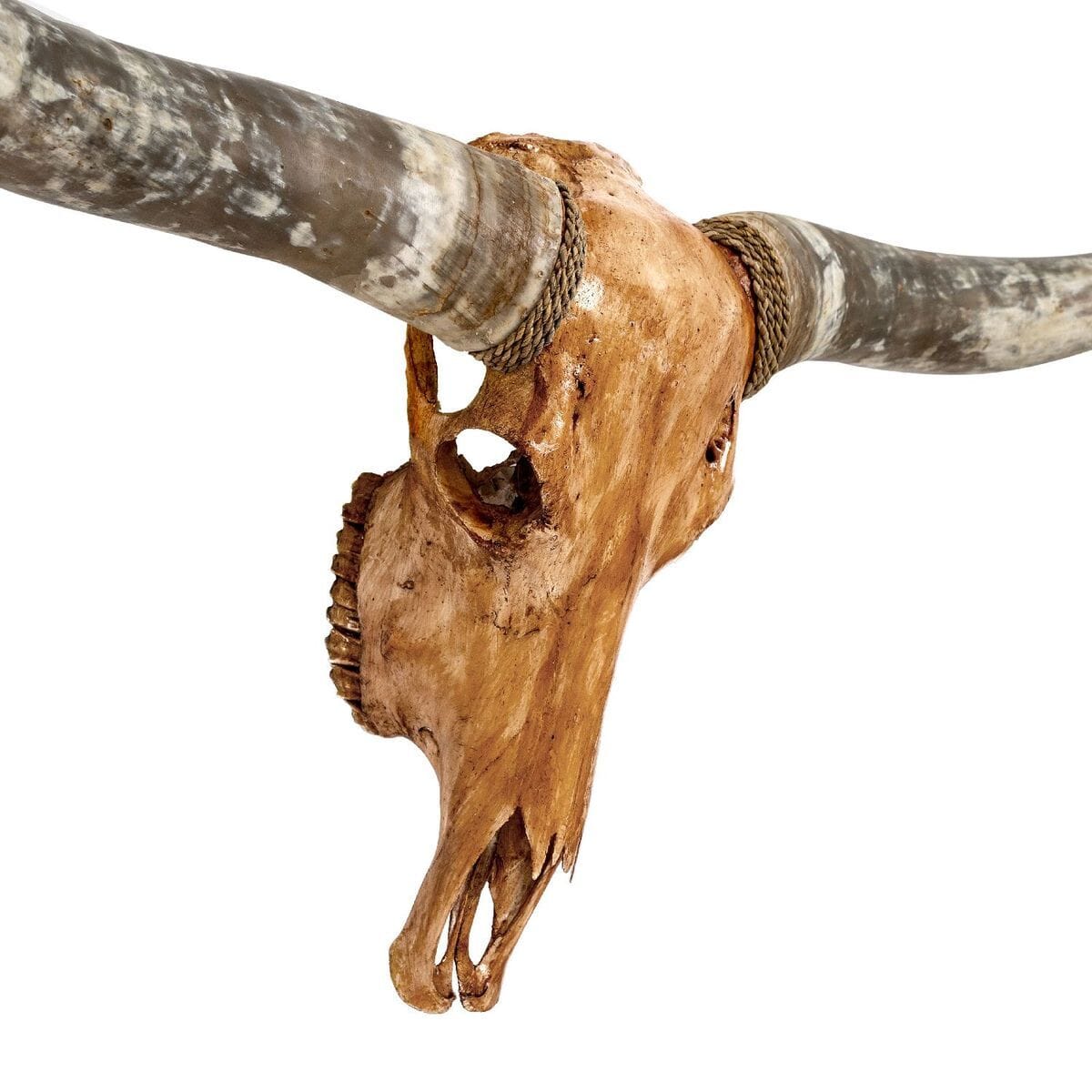 Longhorn Skull - Antique Storm