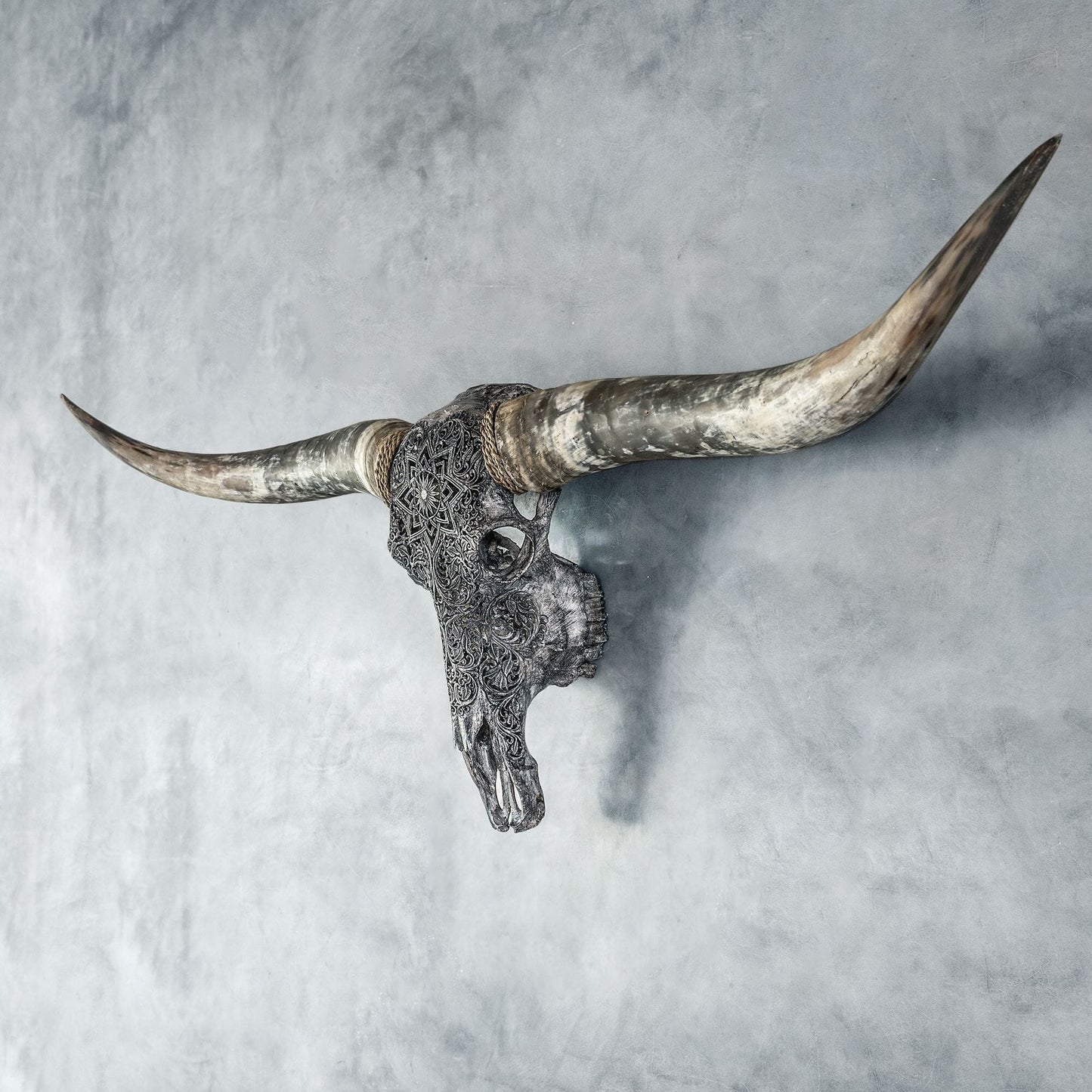 Hand Carved Longhorn Skull - Gray Mandala