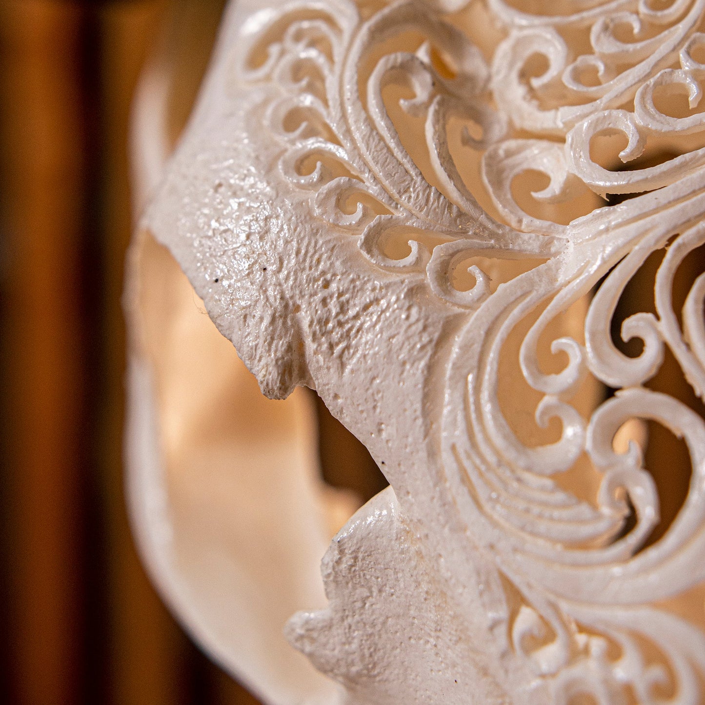 Hand Carved Cow Skull - White Titan