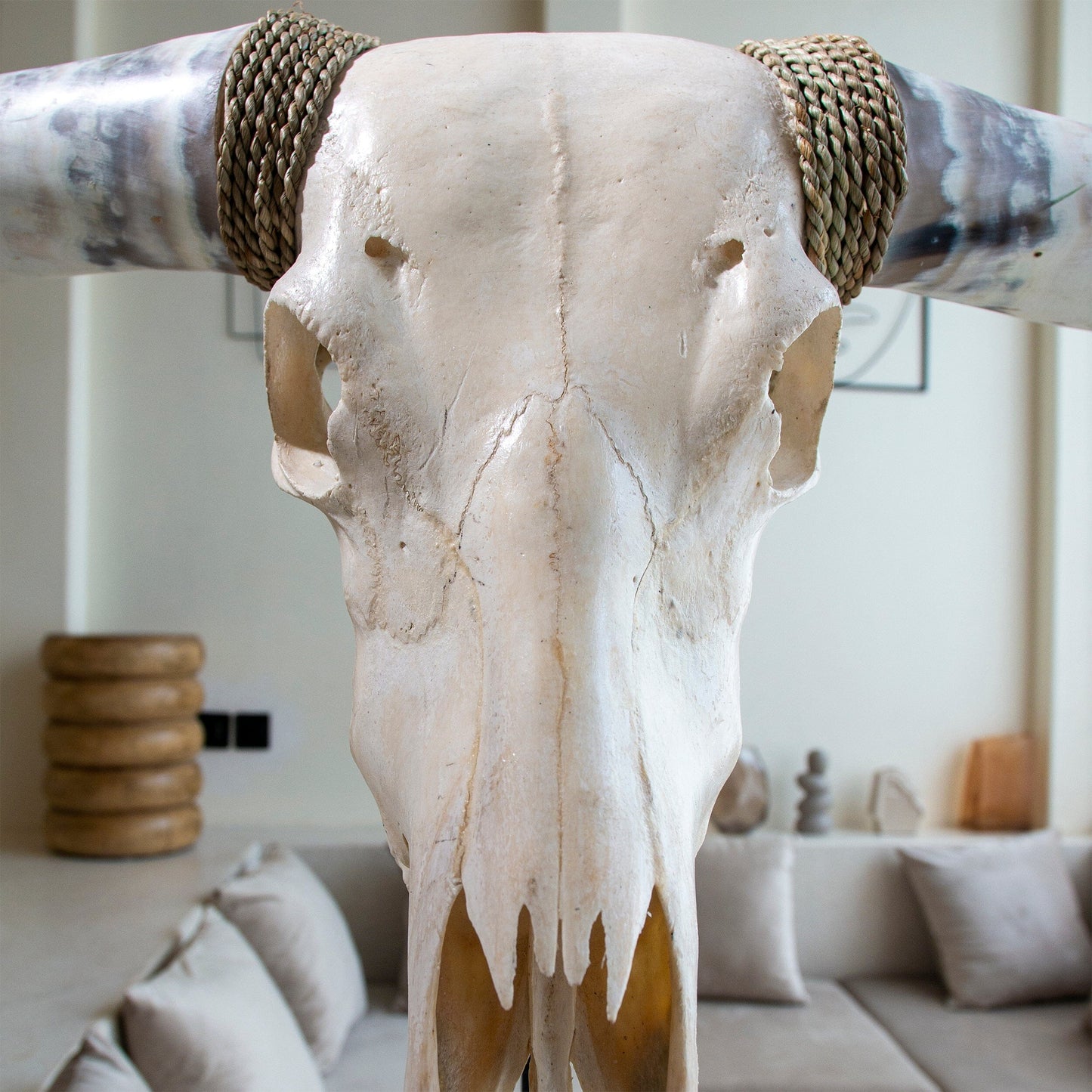 Longhorn Skull - White Storm