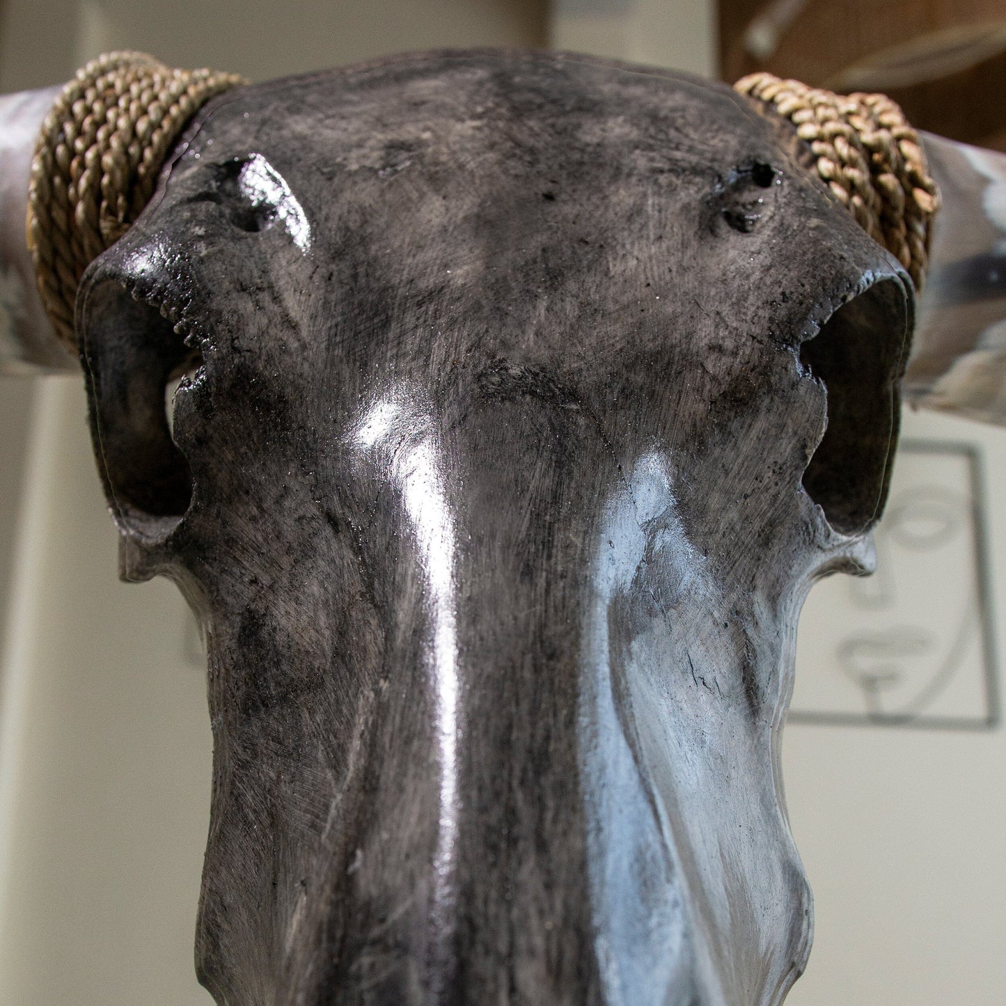 Longhorn Skull // XL Horns - Gray Storm