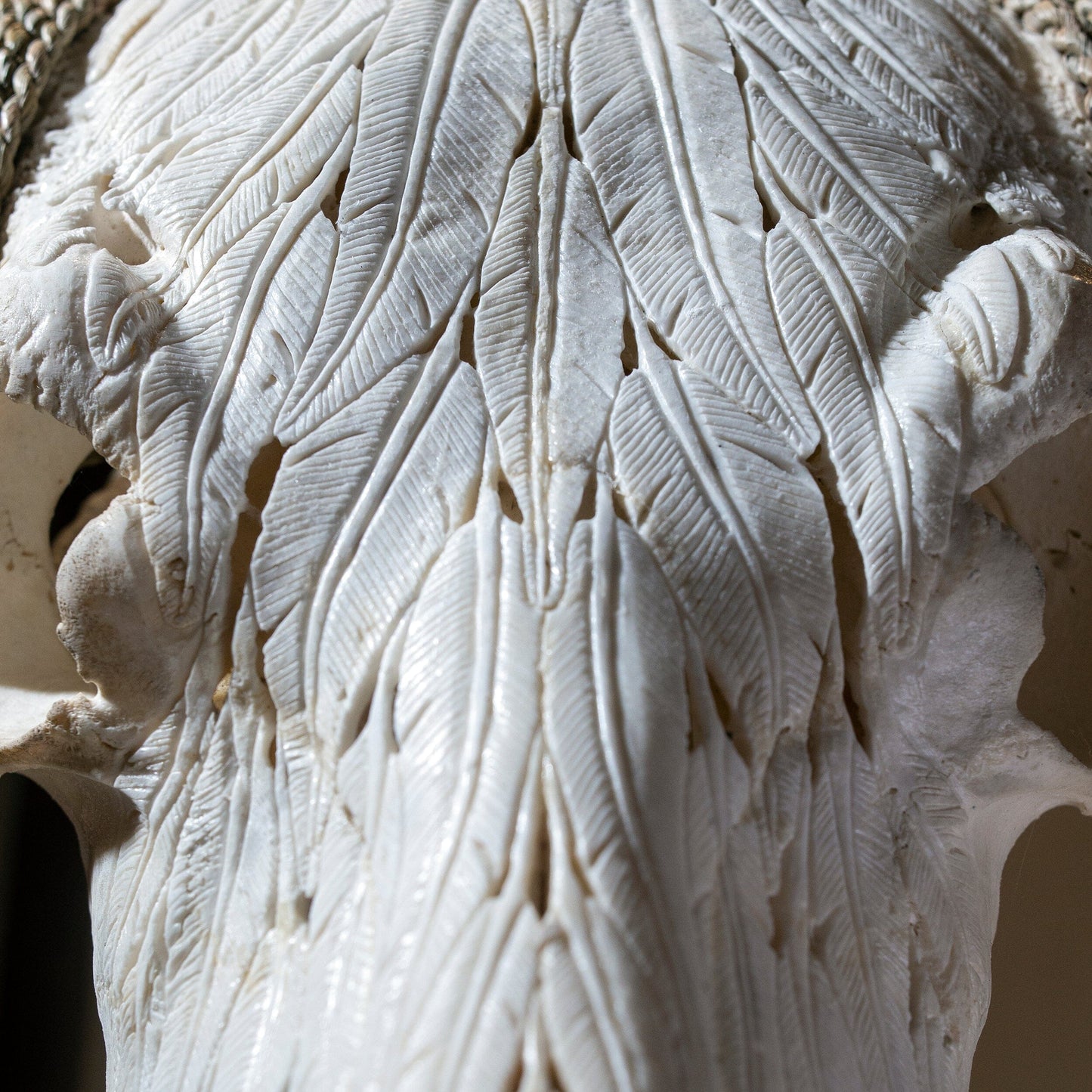 Hand Carved Longhorn Skull - White Feathers