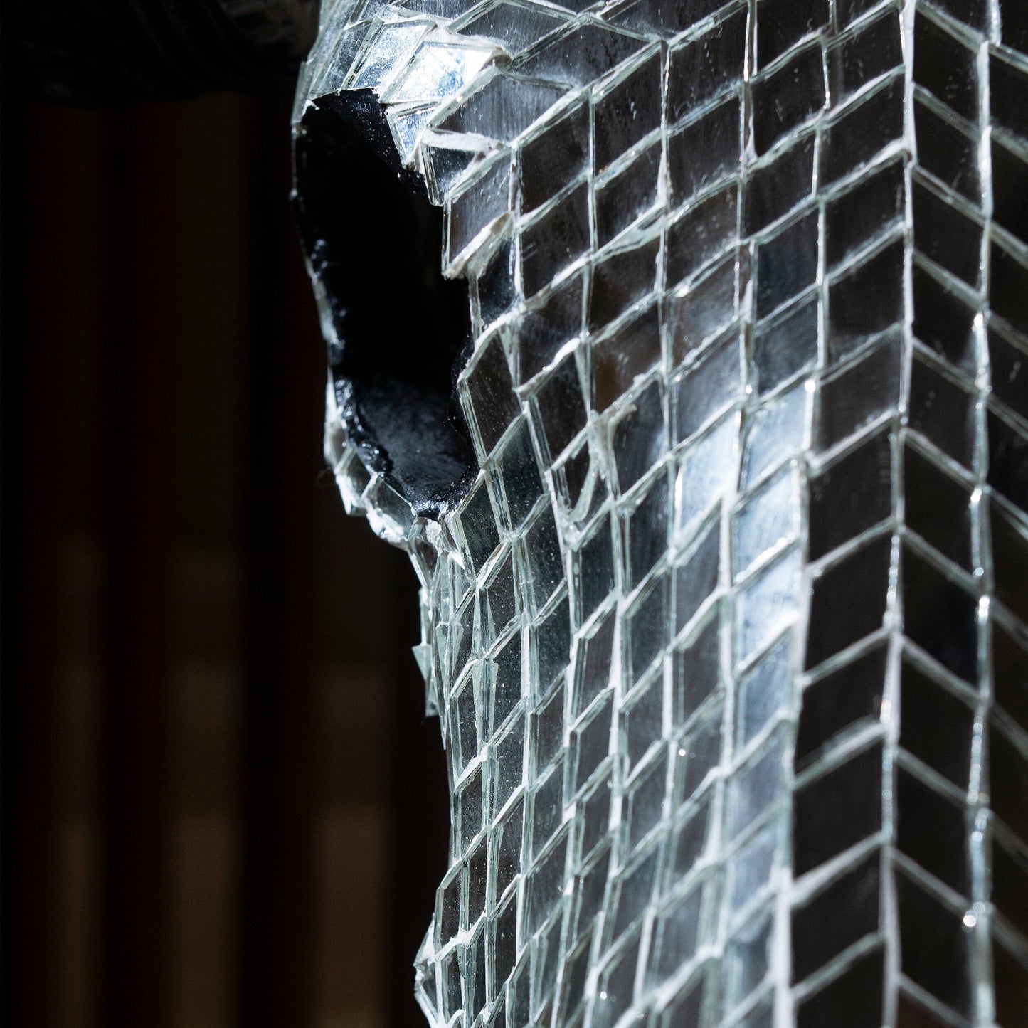 Longhorn Skull // Black Horns - Mirror // Mosaic Finish