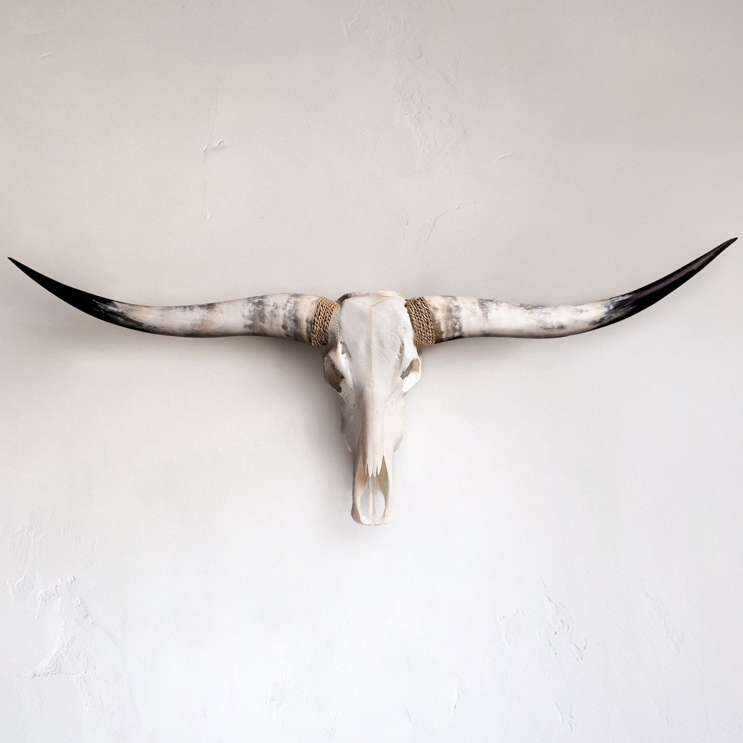 Longhorn Skull - White Storm