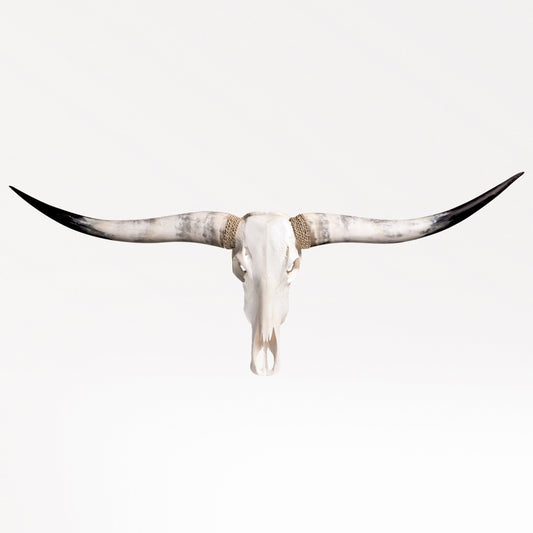 Longhorn Skull - White Storm