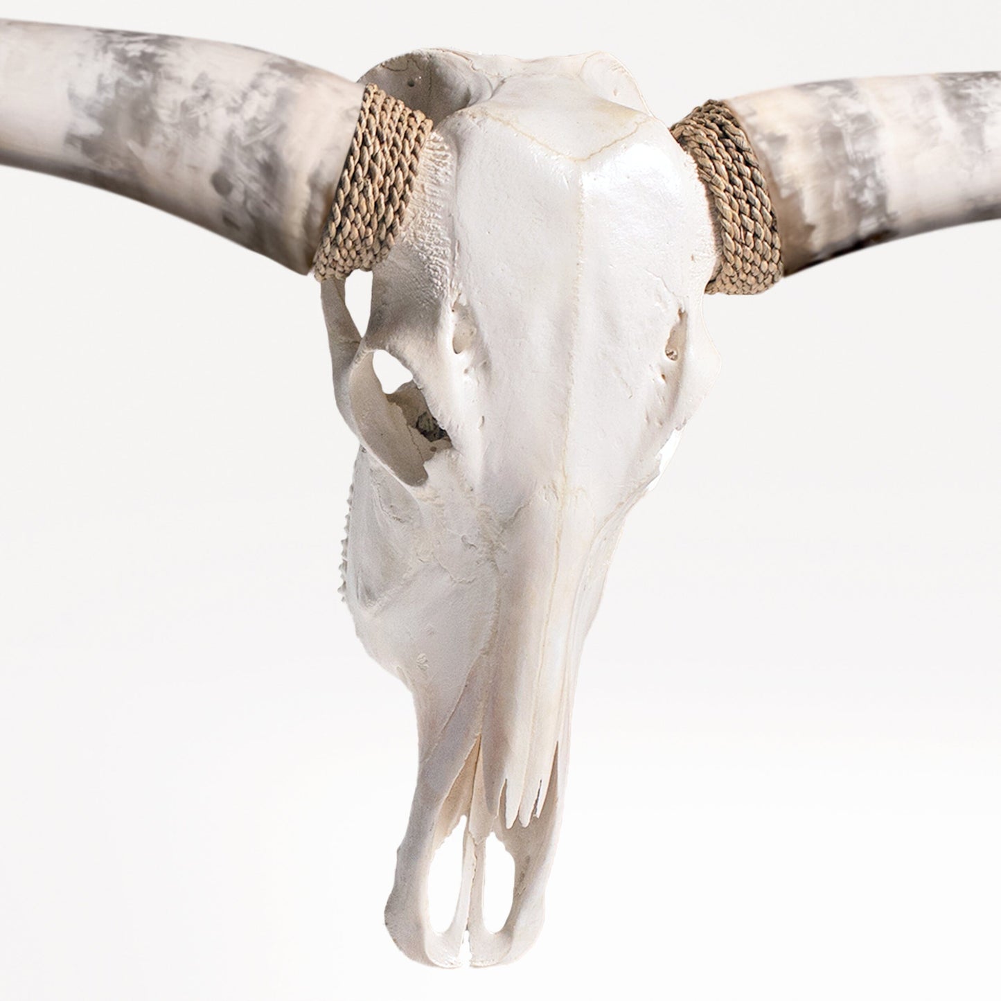 Longhorn Skull - White Storm