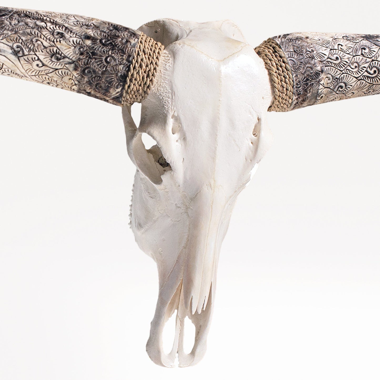 Longhorn Skull - White Storm