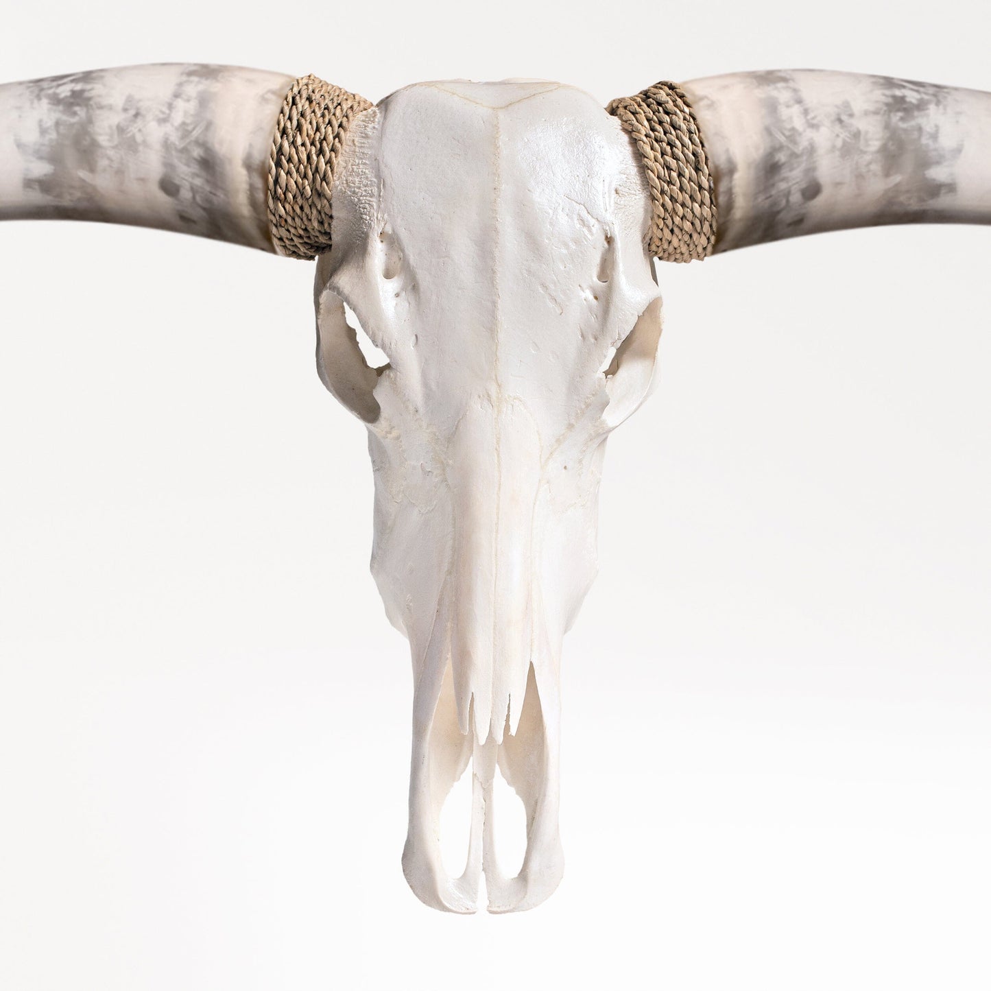 Longhorn Skull - White Storm