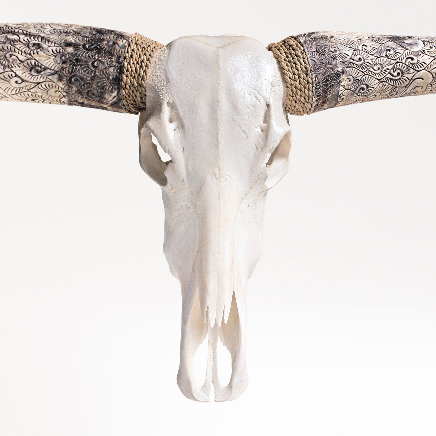 Longhorn Skull - White Storm