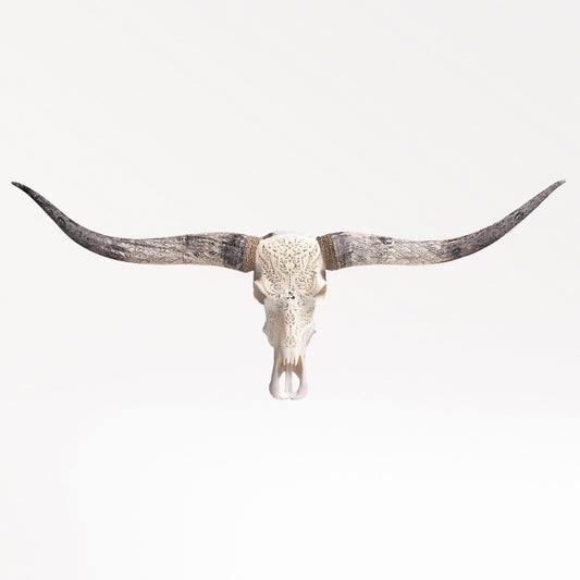 Hand Carved Longhorn Skull - White Titan