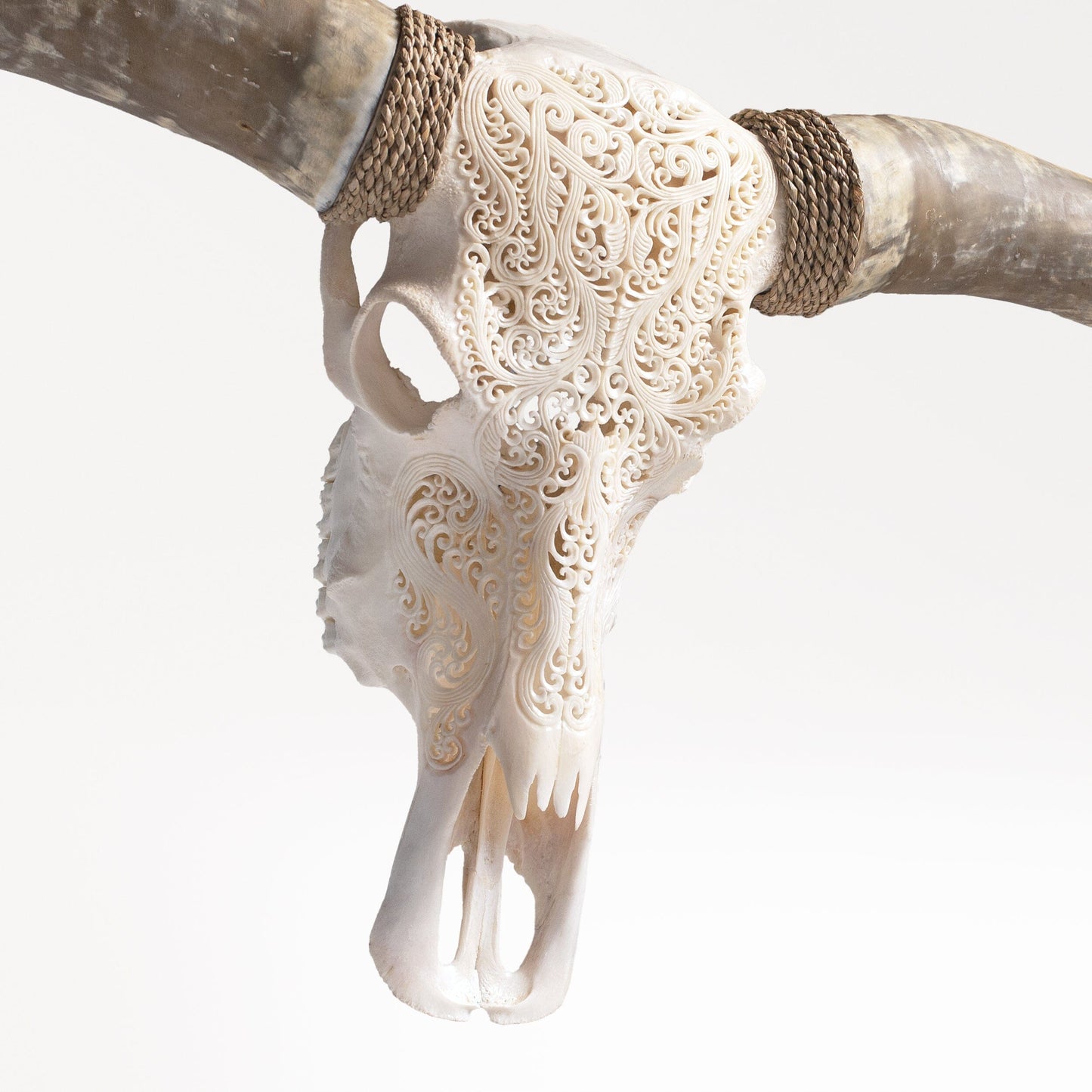 Hand Carved Longhorn Skull - White Titan