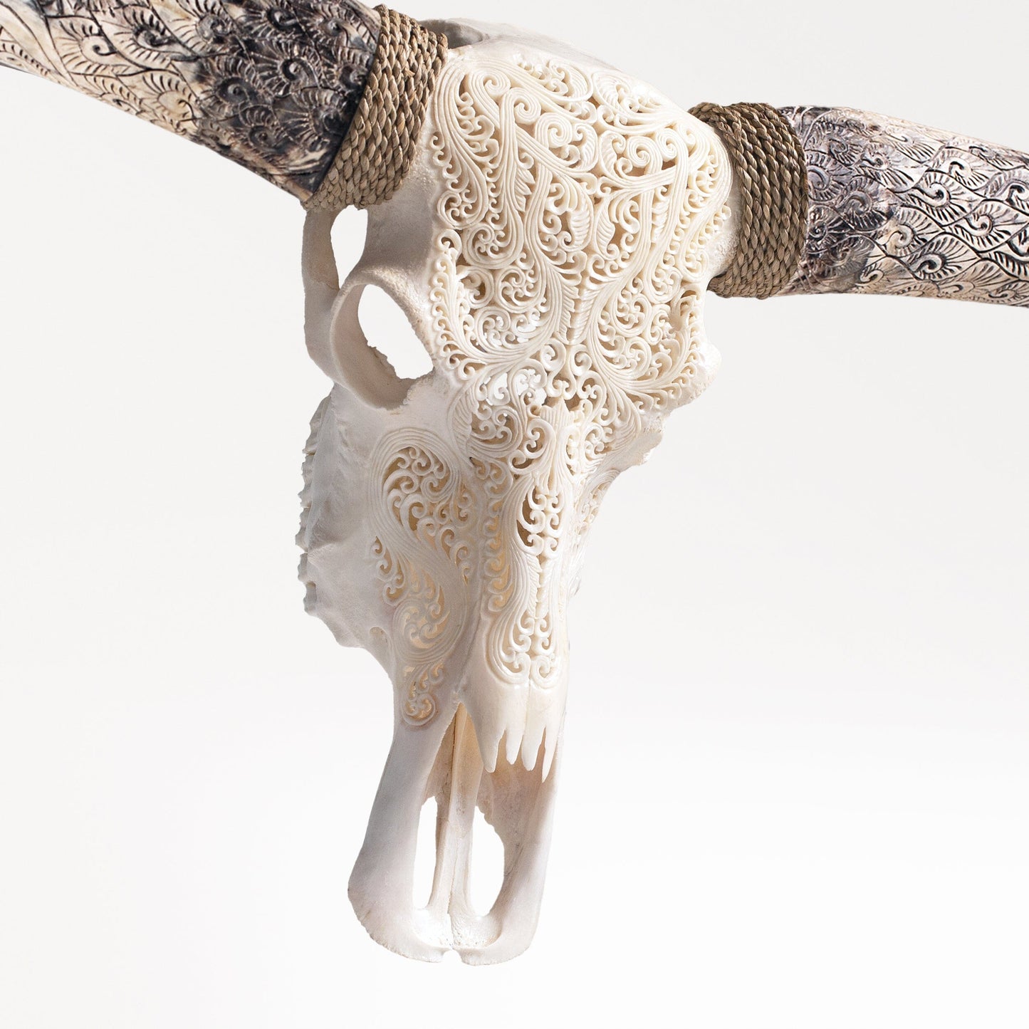 Hand Carved Longhorn Skull - White Titan