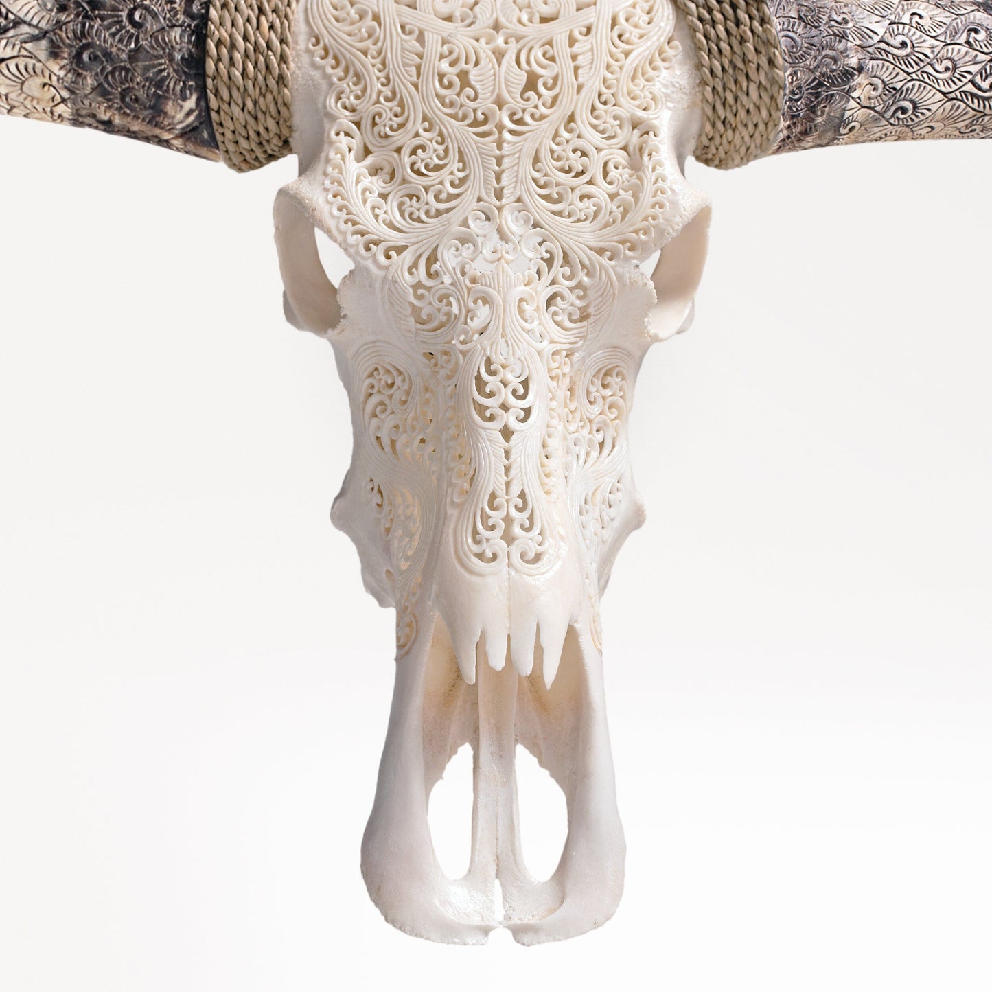Hand Carved Longhorn Skull - White Titan