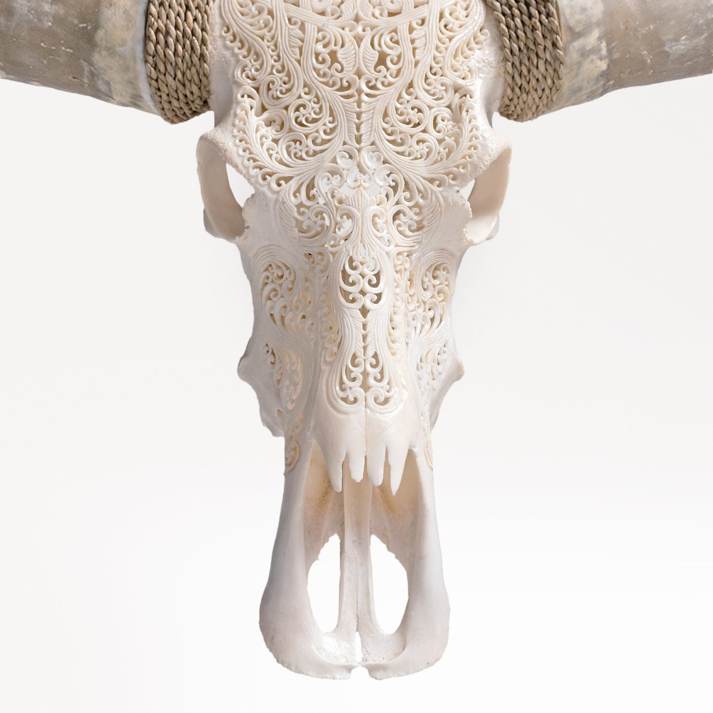 Hand Carved Longhorn Skull - White Titan