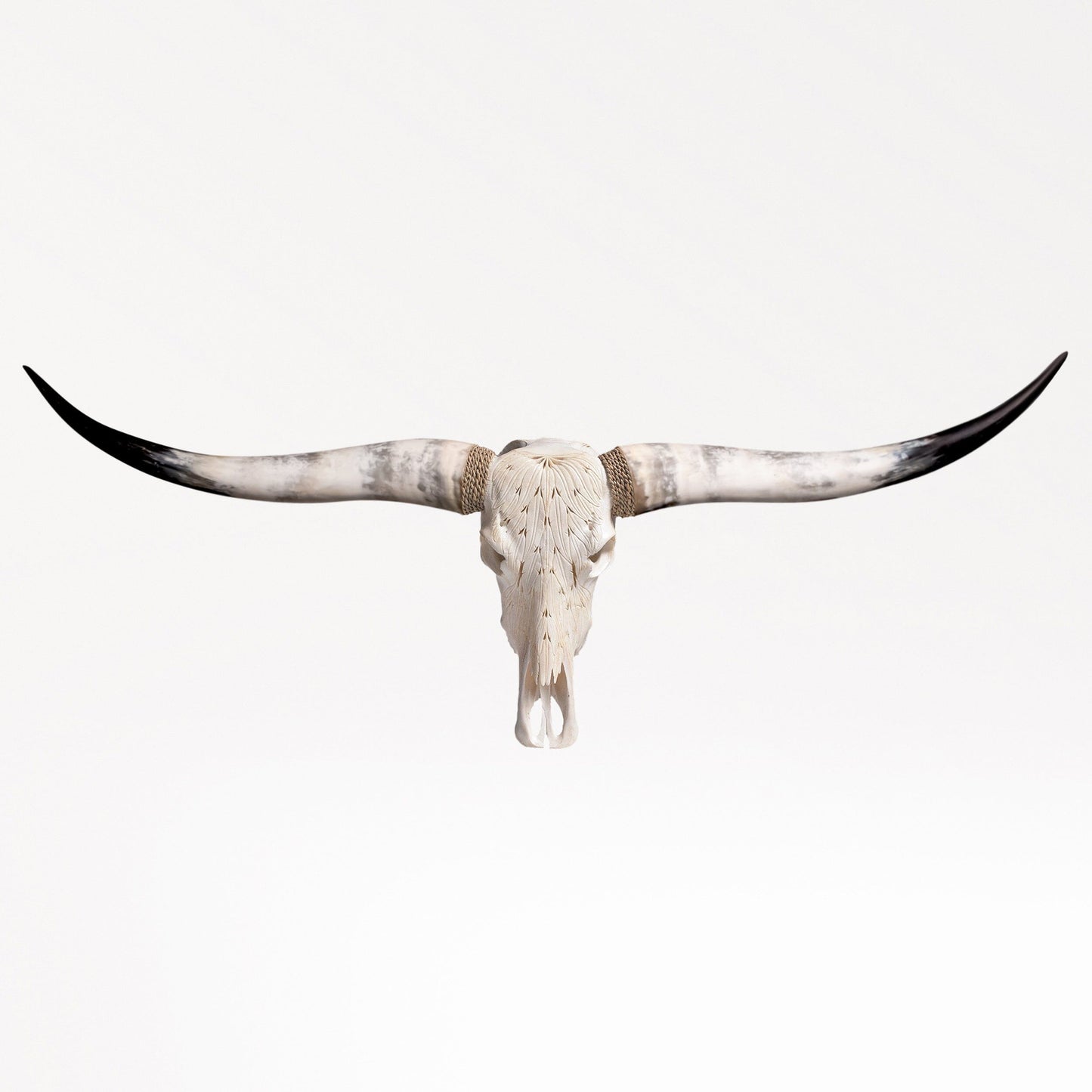 Hand Carved Longhorn Skull - White Feathers