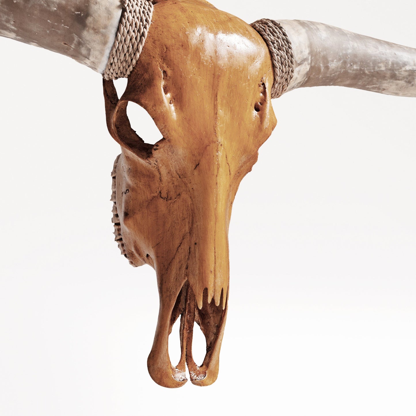 Longhorn Skull - Antique Storm