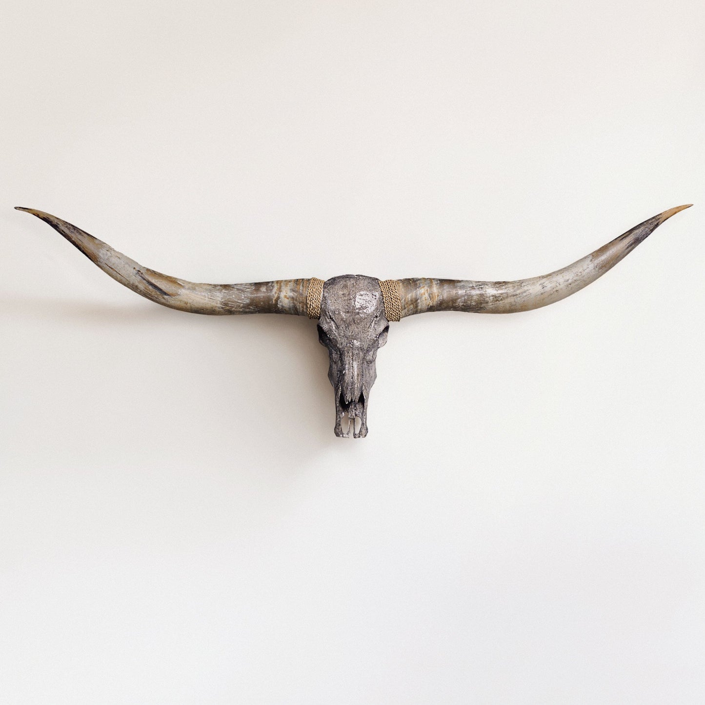 Longhorn Skull // XL Horns - Gray Storm