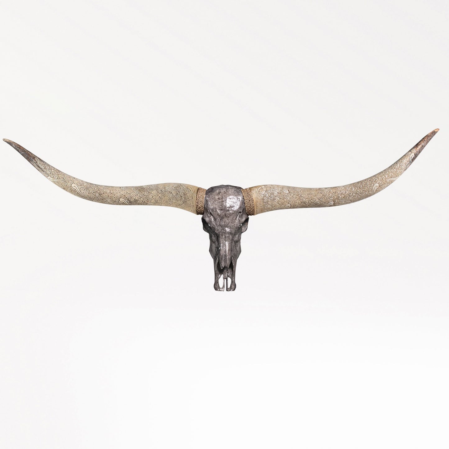 Longhorn Skull // XL Horns - Gray Storm