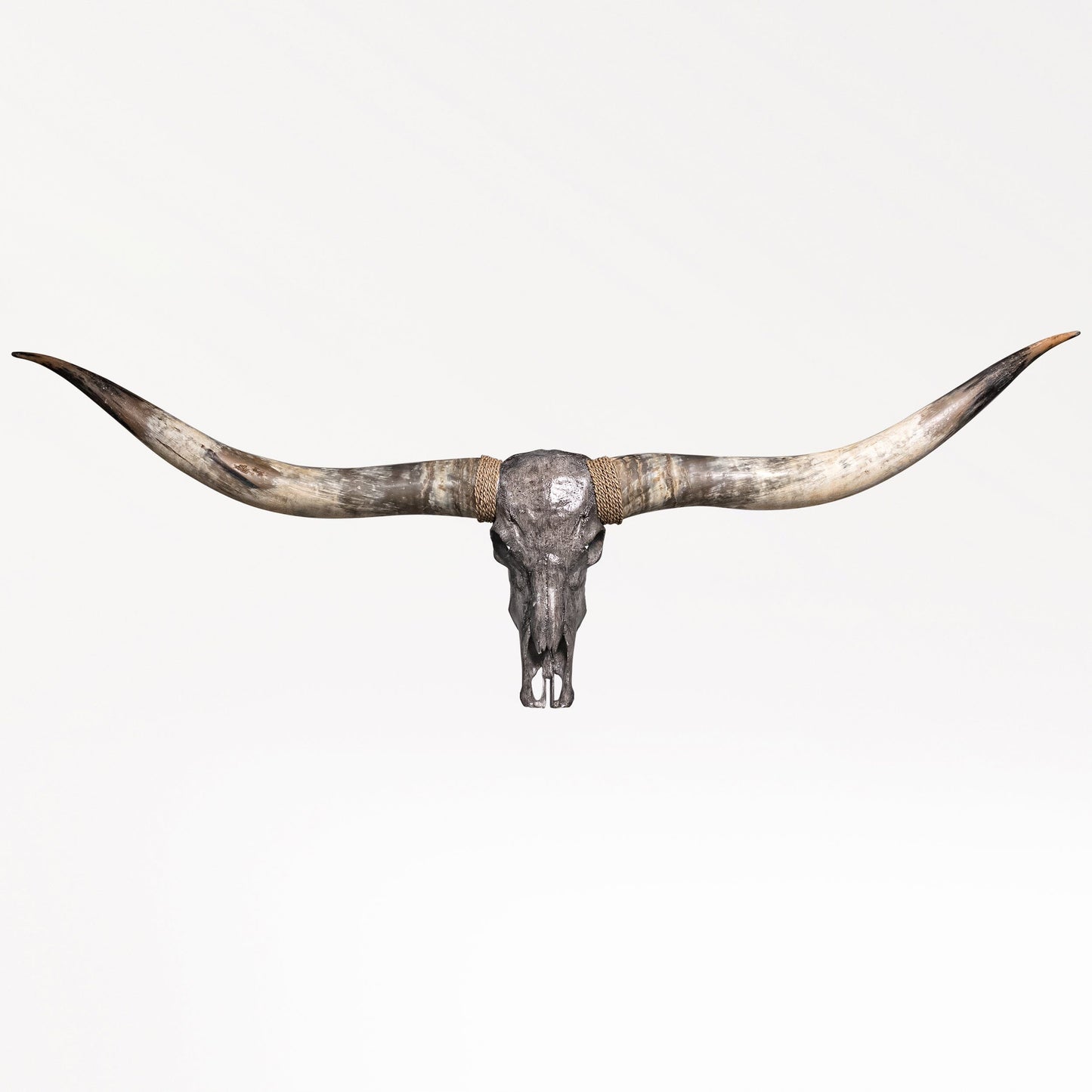 Longhorn Skull // XL Horns - Gray Storm