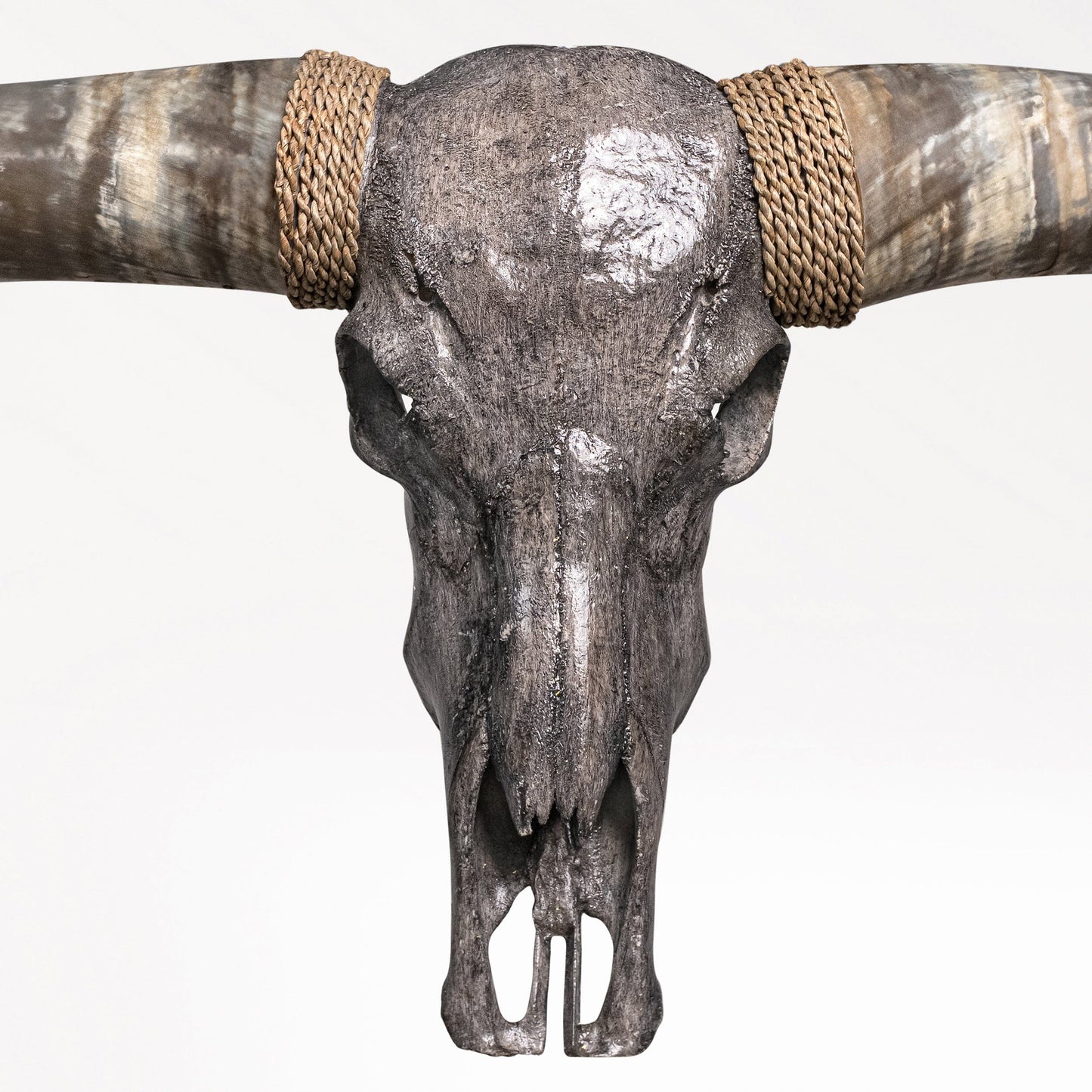Longhorn Skull // XL Horns - Gray Storm