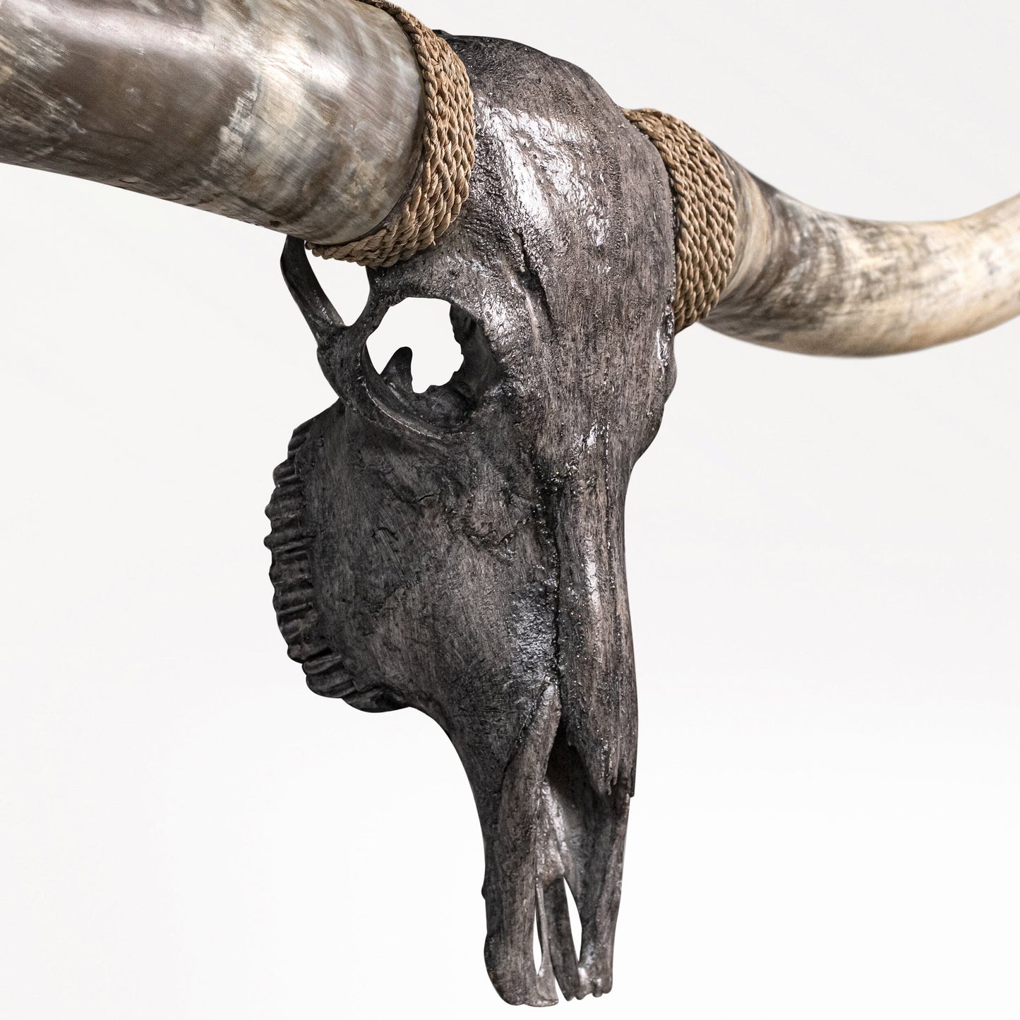 Longhorn Skull // XL Horns - Gray Storm