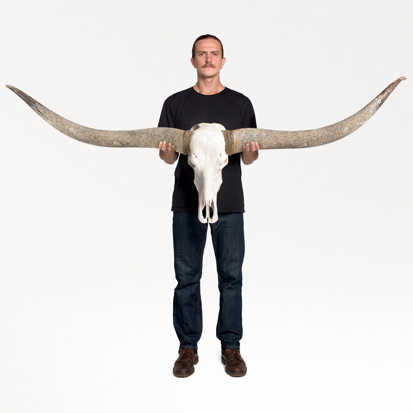 Longhorn Skull // XL Horns - White Storm