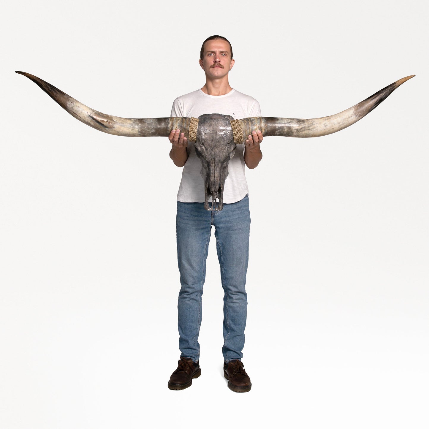 Longhorn Skull // XL Horns - Gray Storm