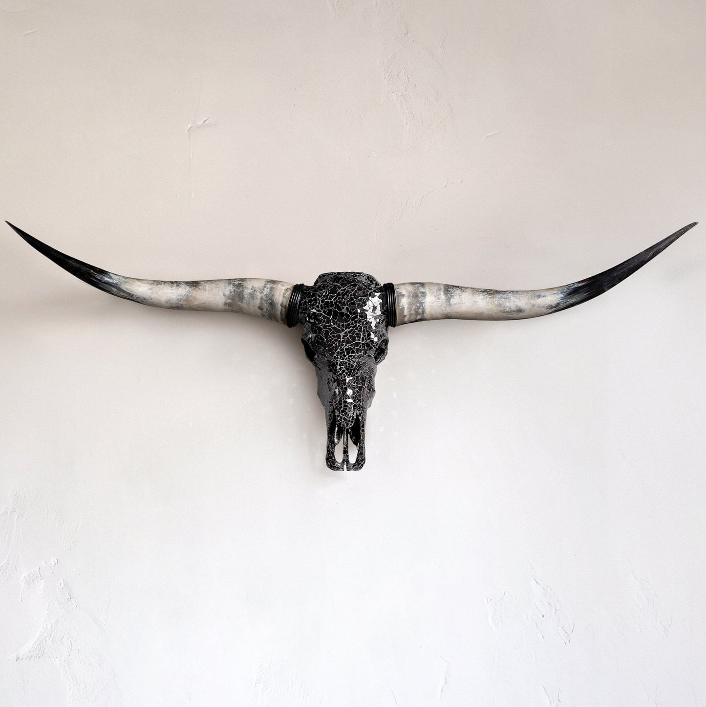 Longhorn Skull - Black Mirror // Mosaic Finish