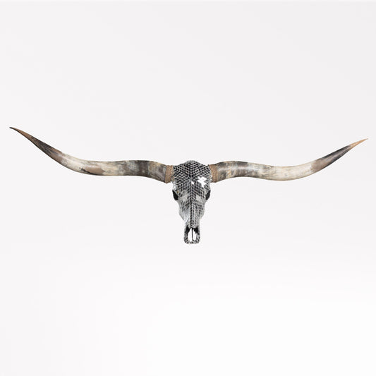 Longhorn Skull // XL Horns -  Mirror // Mosaic Finish