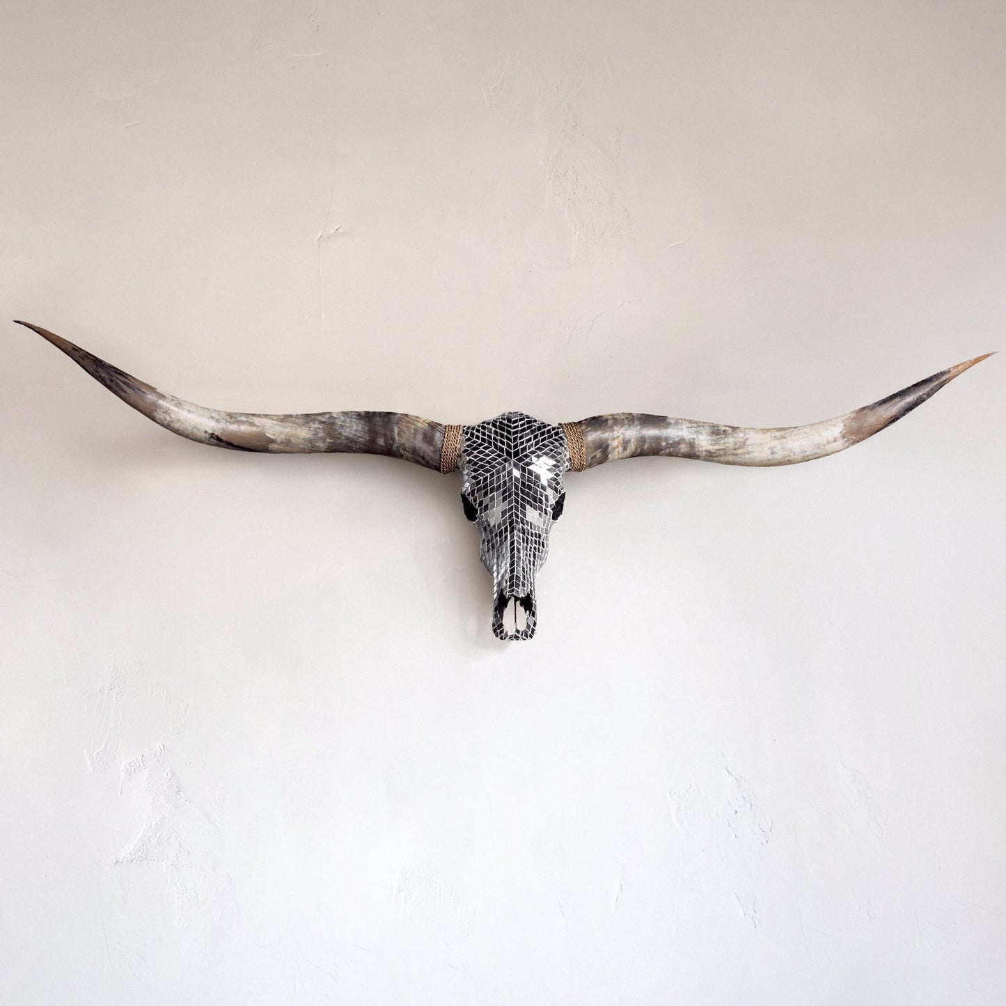 Longhorn Skull // XL Horns -  Mirror // Mosaic Finish