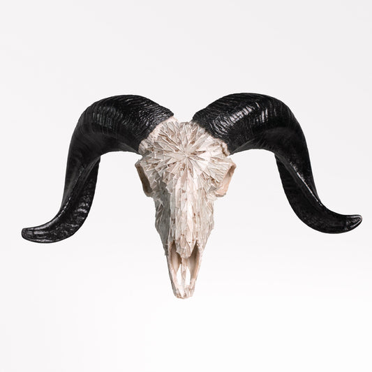 Ram Skull - Beige Mirror // Mosaic Finish