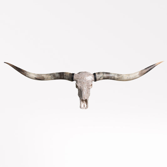 Longhorn Skull // XL Horns - Beige Mirror // Mosaic Finish