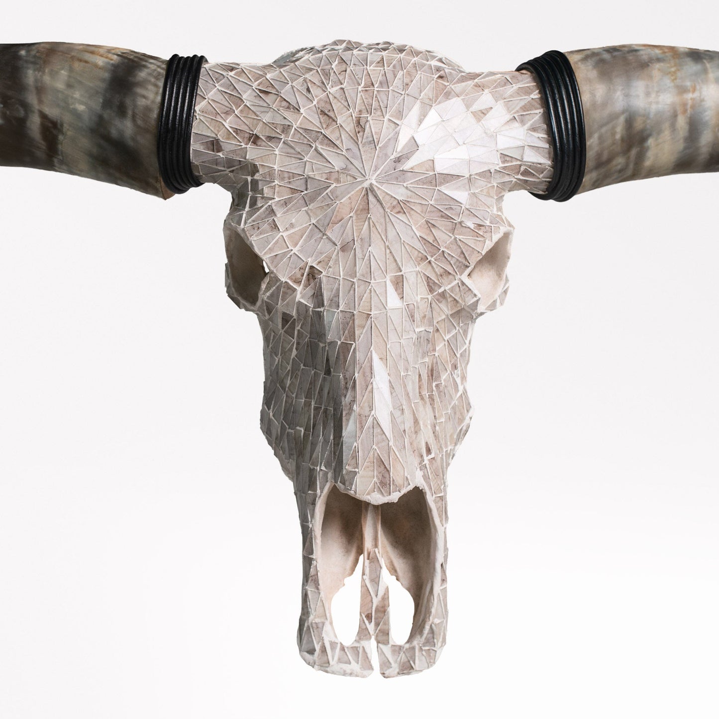 Longhorn Skull // XL Horns - Beige Mirror // Mosaic Finish
