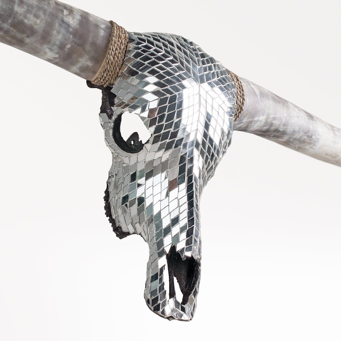 Longhorn Skull // XL Horns -  Mirror // Mosaic Finish