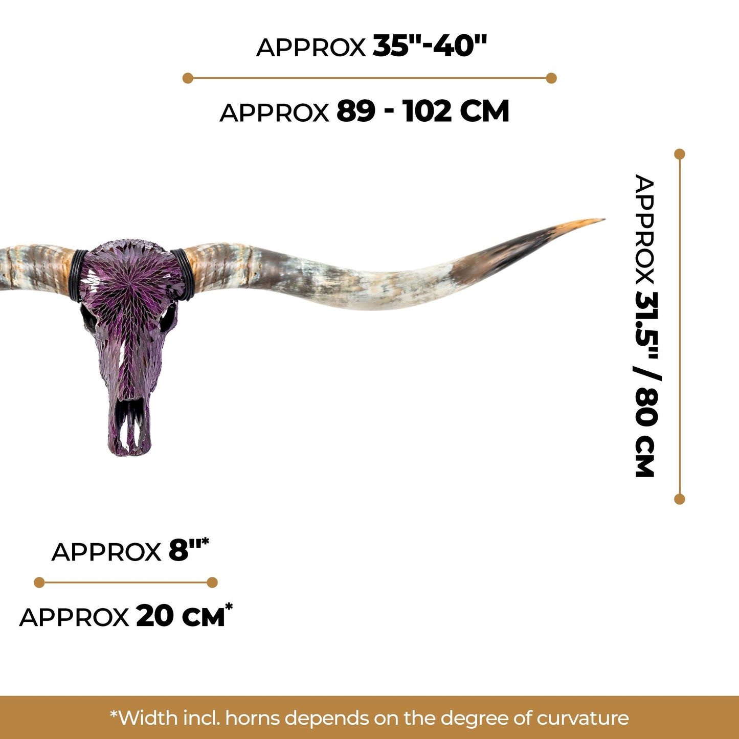 Longhorn Skull // XL Horns - Purple Mirror // Mosaic Finish